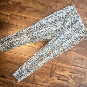 Cello Snake Print Pants